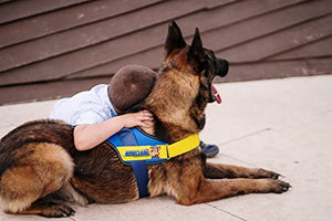 Julius K9 Paw Patrol Dog Harness - Pet Shop Luna