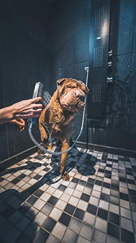 Vetocanis - Shampoo a Pelo Corto o a RAS per Cani, 0% di parabeni, 0% di Silicone, Formato 300 ml - Pet Shop Luna