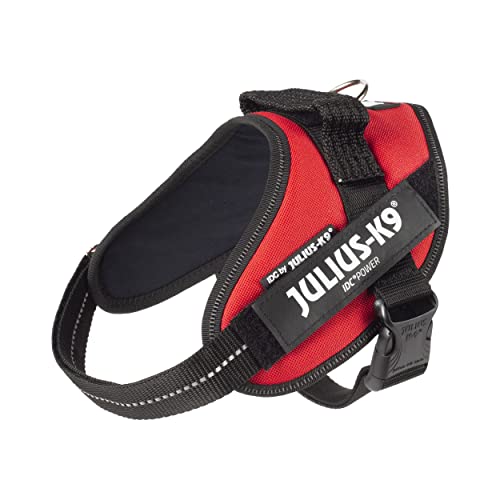 Julius-K9, 16IDC-R-M, IDC Powerharness, dog harness, Size: Mini, Red - Pet Shop Luna