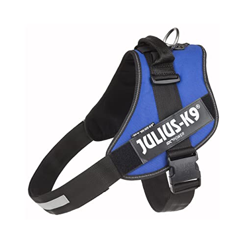 Julius-K9 | IDC-Powerharness | Size: 4 | Blue - Pet Shop Luna