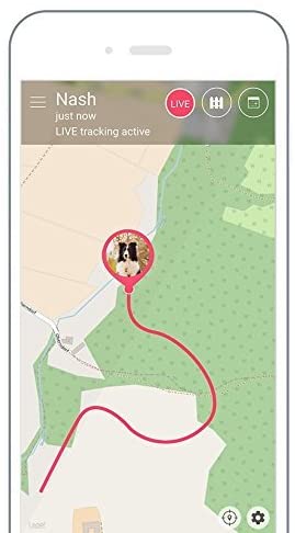 Localizzatore GPS Tractive per cani e gatti, impermeabile, adatto per ogni collare - Pet Shop Luna