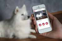 Tractive Pet-Remote Dog Clicker - Pet Shop Luna
