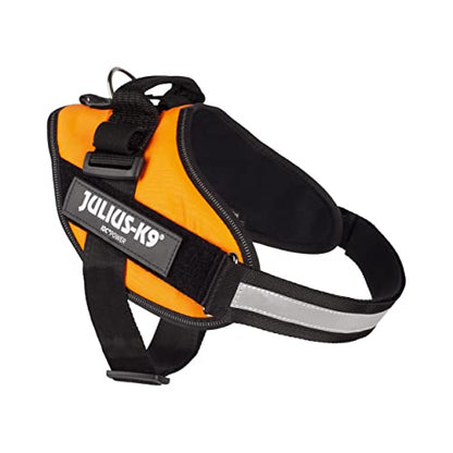 Julius-K9, 16IDC-BG-B1, IDC Powerharness for Dogs - Pet Shop Luna