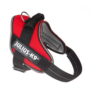 Julius-K9 Dog Harness, Red, M/0 - Pet Shop Luna