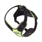 IDC Longwalk Y-Harness - Pet Shop Luna