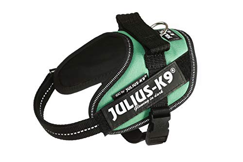 IDC Powerharness - Pet Shop Luna