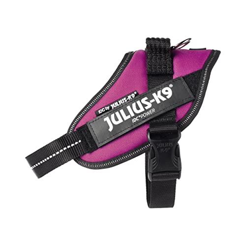 IDC Powerharness - Pet Shop Luna