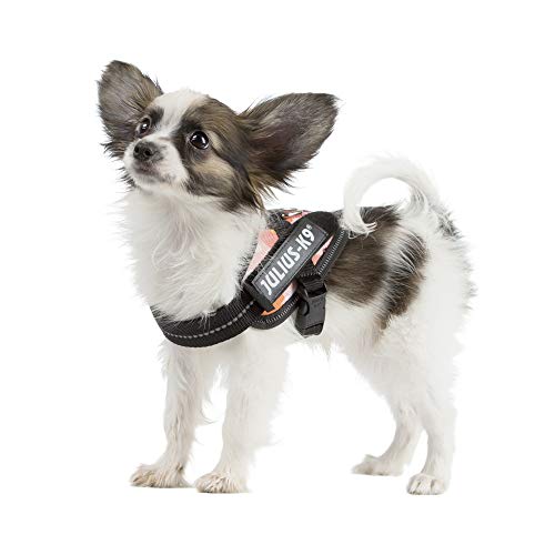 Julius-K9, 16IDC-PNF-B1, IDC Powerharness, dog harness, Size: Baby 1, Pink with flowers - Pet Shop Luna