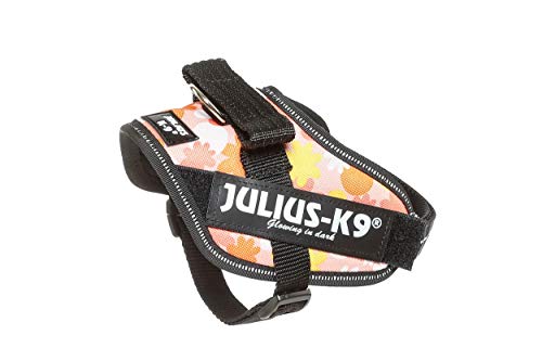 Julius-K9, 16IDC-PNF-MM, IDC Powerharness, dog harness, Size: Mini-Mini, Pink with flowers - Pet Shop Luna