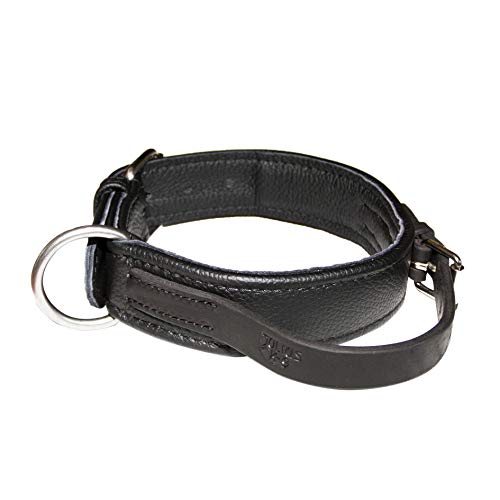 Julius-K9 40082-50 Eco Leather Collar with Adjustable Handle - Pet Shop Luna