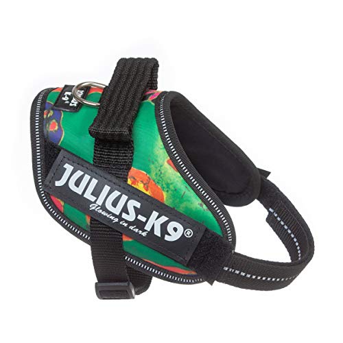 Julius-K9, 16IDC-REGGAE-MM, IDC Powerharness, dog harness, Size: Mini-Mini, Reggae Canis - Pet Shop Luna