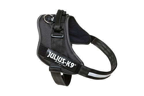 Julius-K9, 16IDC-P-4, IDC Powerharness, dog harness, Size: 4, Black - Pet Shop Luna