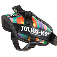 Julius-K9, 16IDC-REGGAE-MM, IDC Powerharness, dog harness, Size: Mini-Mini, Reggae Canis - Pet Shop Luna