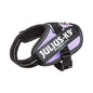 IDC Powerharness, Size: 2XS/Baby 2, Purple - Pet Shop Luna