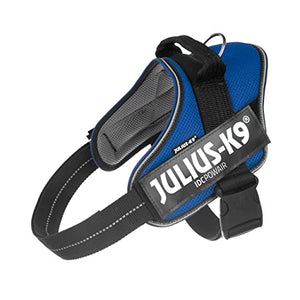 Julius-K9 Dog Harness, Blue, L/1 - Pet Shop Luna
