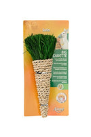 Aime Big Carrot Toy for Small Animals - Pet Shop Luna
