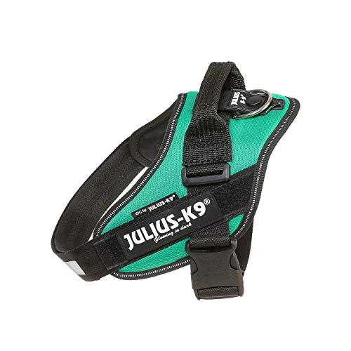 IDC Powerharness - Pet Shop Luna