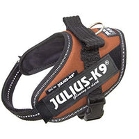 Julius k9 IDC and Powair harnesses for dogs / pettorina per cani - Pet Shop Luna