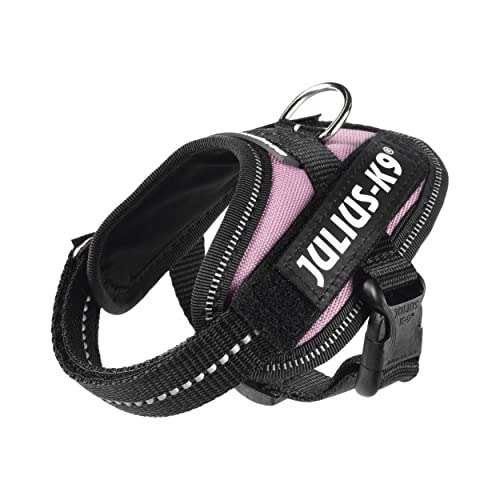 Julius k9 IDC and Powair harnesses for dogs / pettorina per cani - Pet Shop Luna