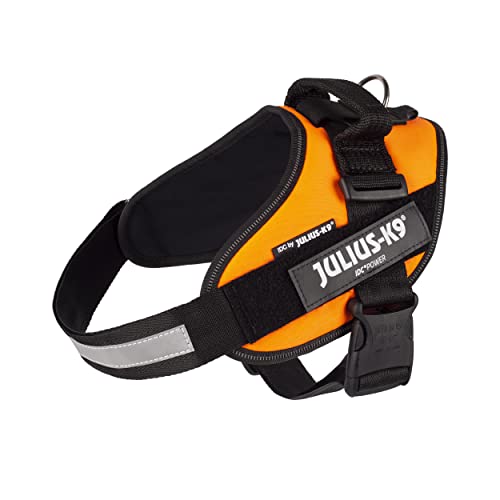 Julius-K9, 16IDC-BG-B1, IDC Powerharness for Dogs - Pet Shop Luna