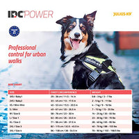 Julius-K9, 16IDC-PNF-M, IDC Powerharness, dog harness, Size: S/Mini, Pink with flowers - Pet Shop Luna