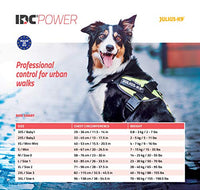 Julius-K9, 16IDC-PNF-1, IDC Powerharness, dog harness, Size: 1, Pink with flowers - Pet Shop Luna
