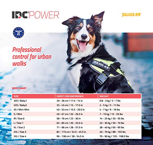 Julius-K9, 16IDC-BG-B1, IDC Powerharness for Dogs - Pet Shop Luna