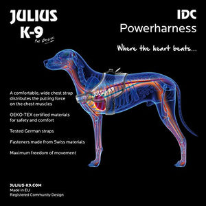 Julius-K9, 16IDC-PNF-2, IDC Powerharness, dog harness, Size: 2, Pink with flowers - Pet Shop Luna