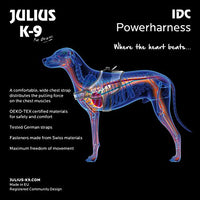 Julius-K9, 16IDC-FARNE-1, IDC Powerharness, dog harness, Size: 1, Jeans with neon edge - Pet Shop Luna
