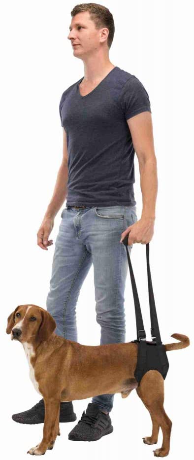 Trixie - Ausilio per camminare, grande, 65-75 cm, nero - Pet Shop Luna