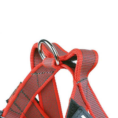 Julius-K9, 16IDC-M-R-2015, IDC Color & Gray Belt Harness for Dogs, Size: Mini, Red-Gray - Pet Shop Luna