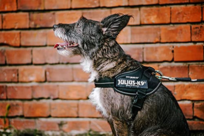 Julius-K9 IDC Powair Harness, Size: XL, Red - Pet Shop Luna