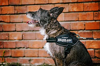 Julius-K9, 16IDC-B-M, IDC Powerharness, dog harness, Size: S/Mini, Blue - Pet Shop Luna
