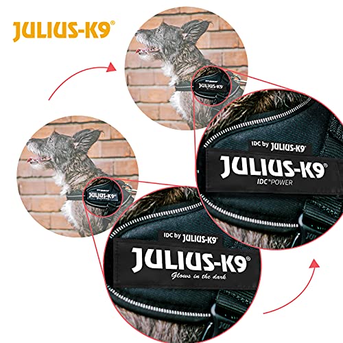 Julius-K9 | IDC-Powerharness | Size: 4 | Blue - Pet Shop Luna