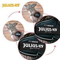 Julius-K9, 16IDC-FARNE-B1, IDC Powerharness, dog harness, Size: Baby 1, Jeans with neon edge - Pet Shop Luna
