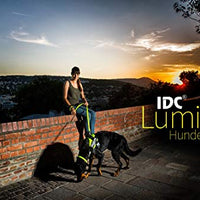 Julius-K9 IDC Lumino Guinzaglio - Pet Shop Luna