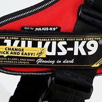 Julius-K9, 16IDC-FARNE-1, IDC Powerharness, dog harness, Size: 1, Jeans with neon edge - Pet Shop Luna