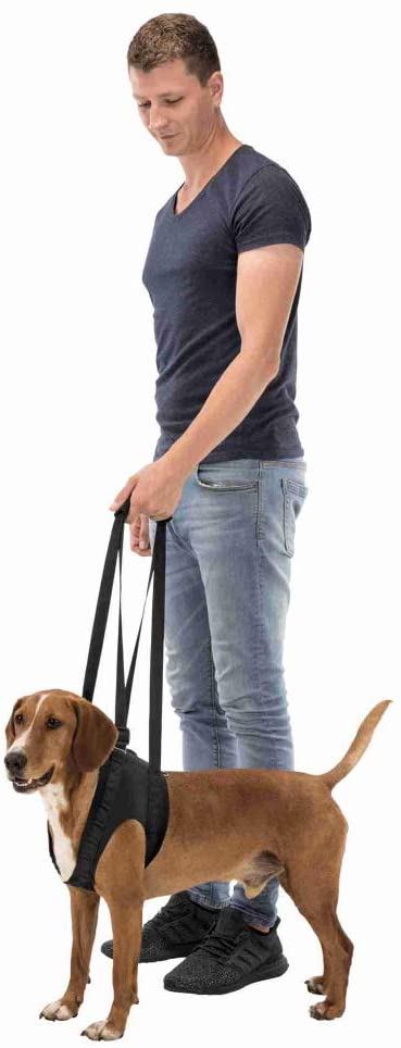 Trixie - Ausilio per camminare, grande, 65-75 cm, nero - Pet Shop Luna