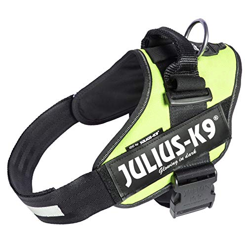 Julius k9 IDC and Powair harnesses for dogs / pettorina per cani - Pet Shop Luna