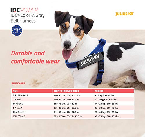 Julius-K9, 16IDC-M-R-2015, IDC Color & Gray Belt Harness for Dogs, Size: Mini, Red-Gray - Pet Shop Luna