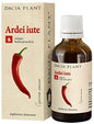 Cayenne Tincture (Capsicum Anuum) Tincture 50 ml 100% Natural - Pet Shop Luna