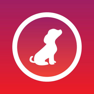 Collare No-Shock per Cani - Pet Shop Luna