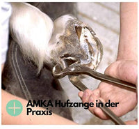 AMKA - Set di 8 attrezzi con custodia in pelle, per la cura e la riparazione degli zoccoli del cavallo SHIPPING ONLY IN EUROPE - Pet Shop Luna
