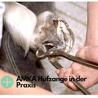 AMKA - Set di 8 attrezzi con custodia in pelle, per la cura e la riparazione degli zoccoli del cavallo SHIPPING ONLY IN EUROPE - Pet Shop Luna