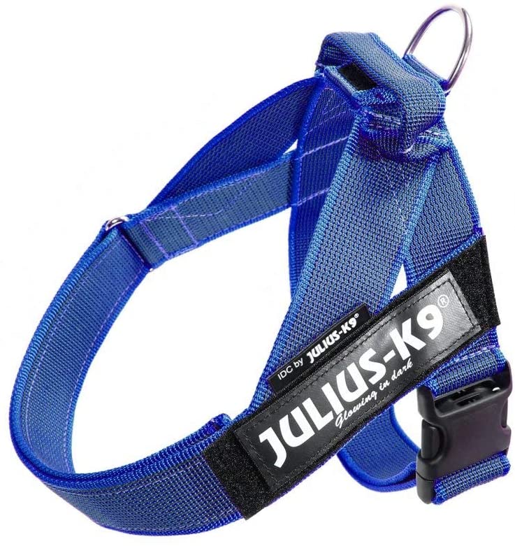 Julius-K9 IDC Color & Gray Belt Harness for Dogs - Pet Shop Luna