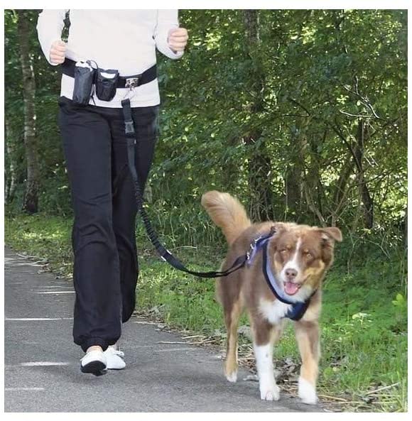 TRIXIE Ceinture ventrale avec laisse pour chien - Pet Shop Luna