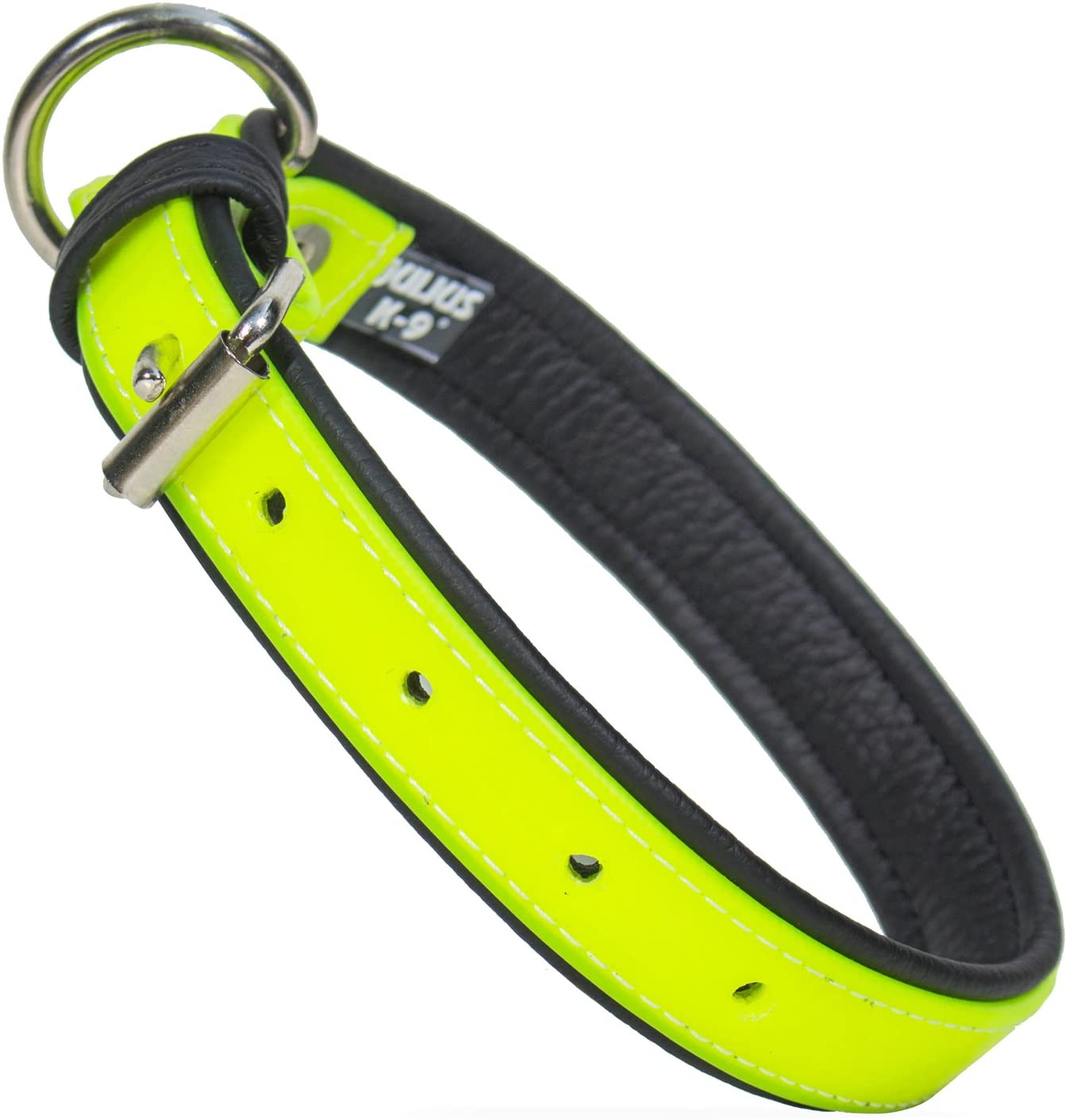 Julius-K9 IDC Lumino Phosphorescent Collar - Pet Shop Luna