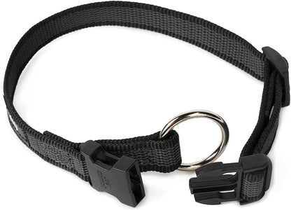 Julius-K9 collar - Pet Shop Luna