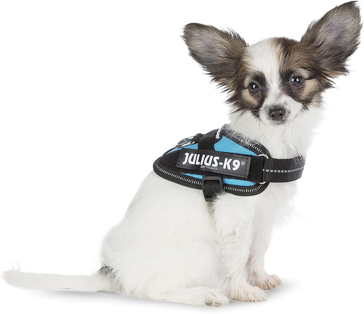 Julius-K9, 16IDC-AM-B1, IDC Powerharness, dog harness, Size: 2XL/3XS/Baby 1, Aquamarine - Pet Shop Luna