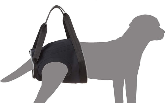 Julius-K9 Imbrago Riabilitativo - Anteriore - Pet Shop Luna